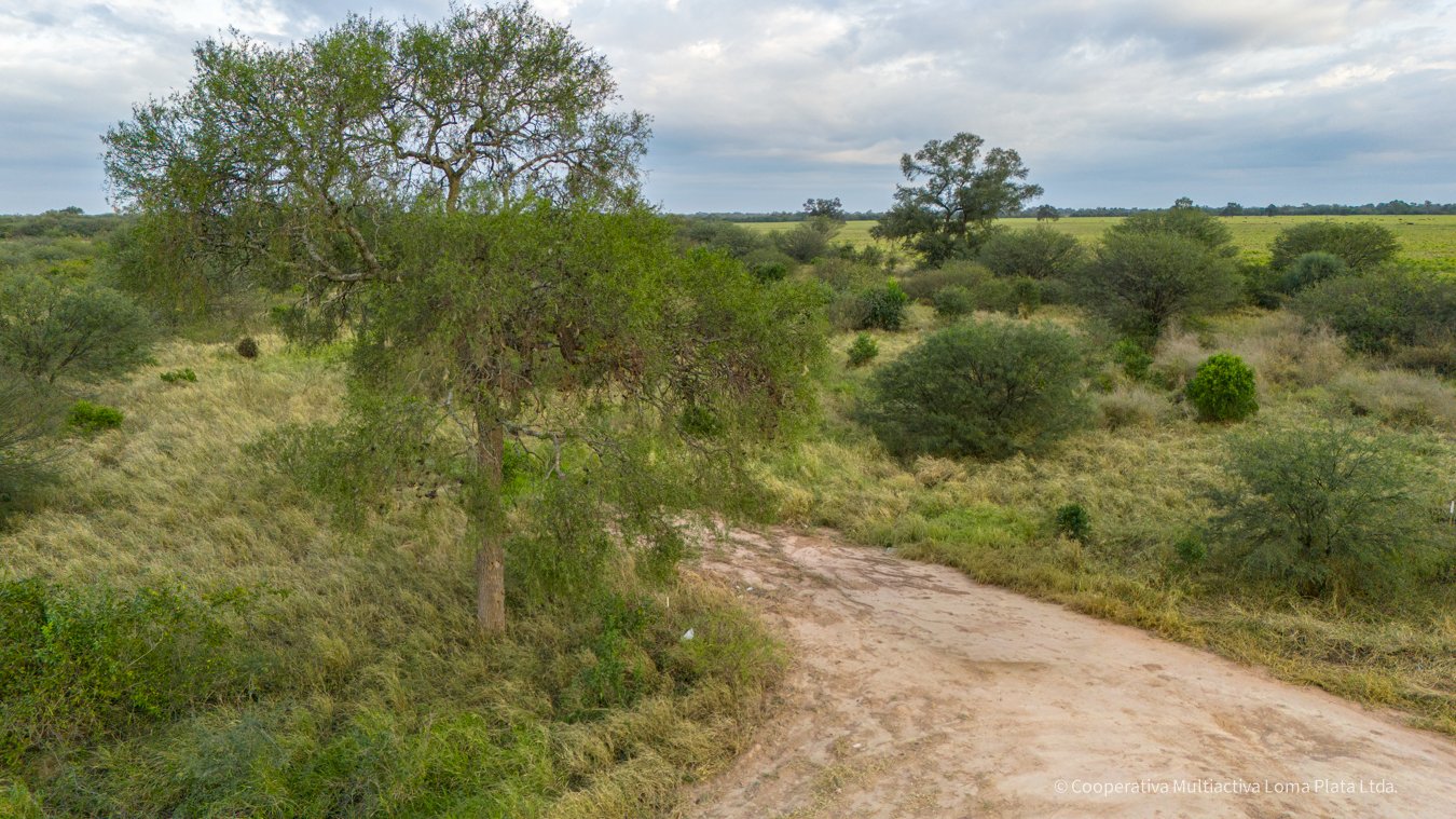 Lote en Filadelfia - 4