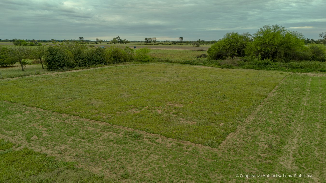 Lote en Osterwick - 3