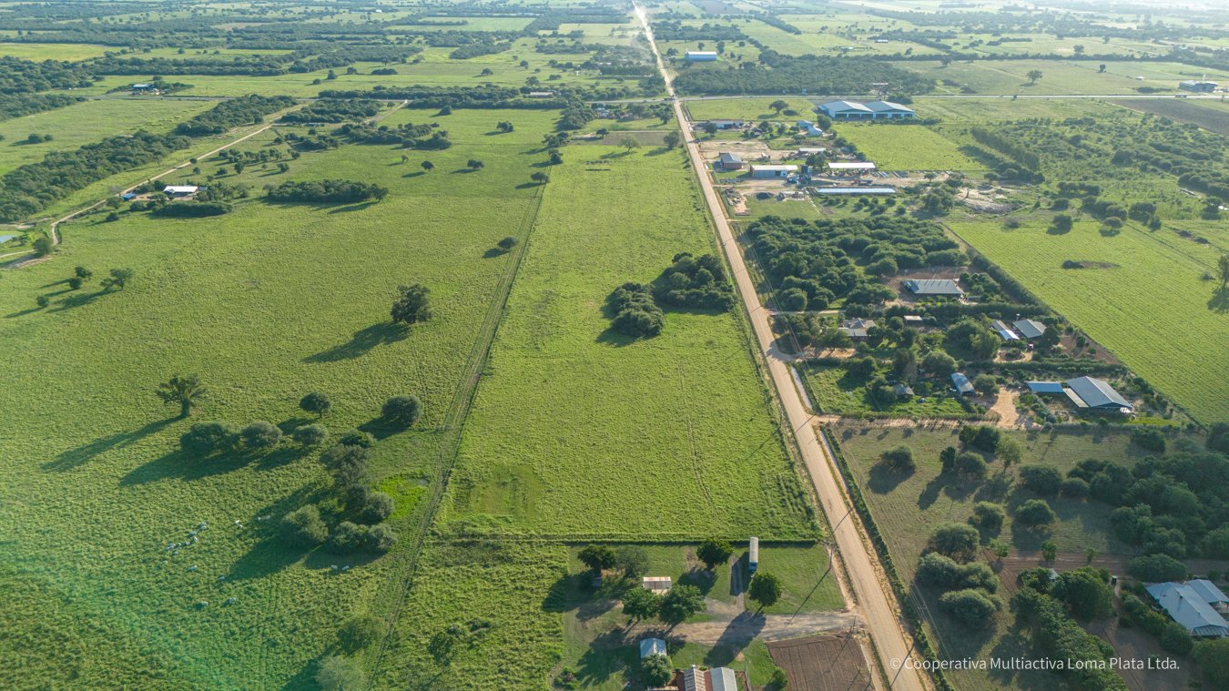 Lotes en Kleefeld - 3