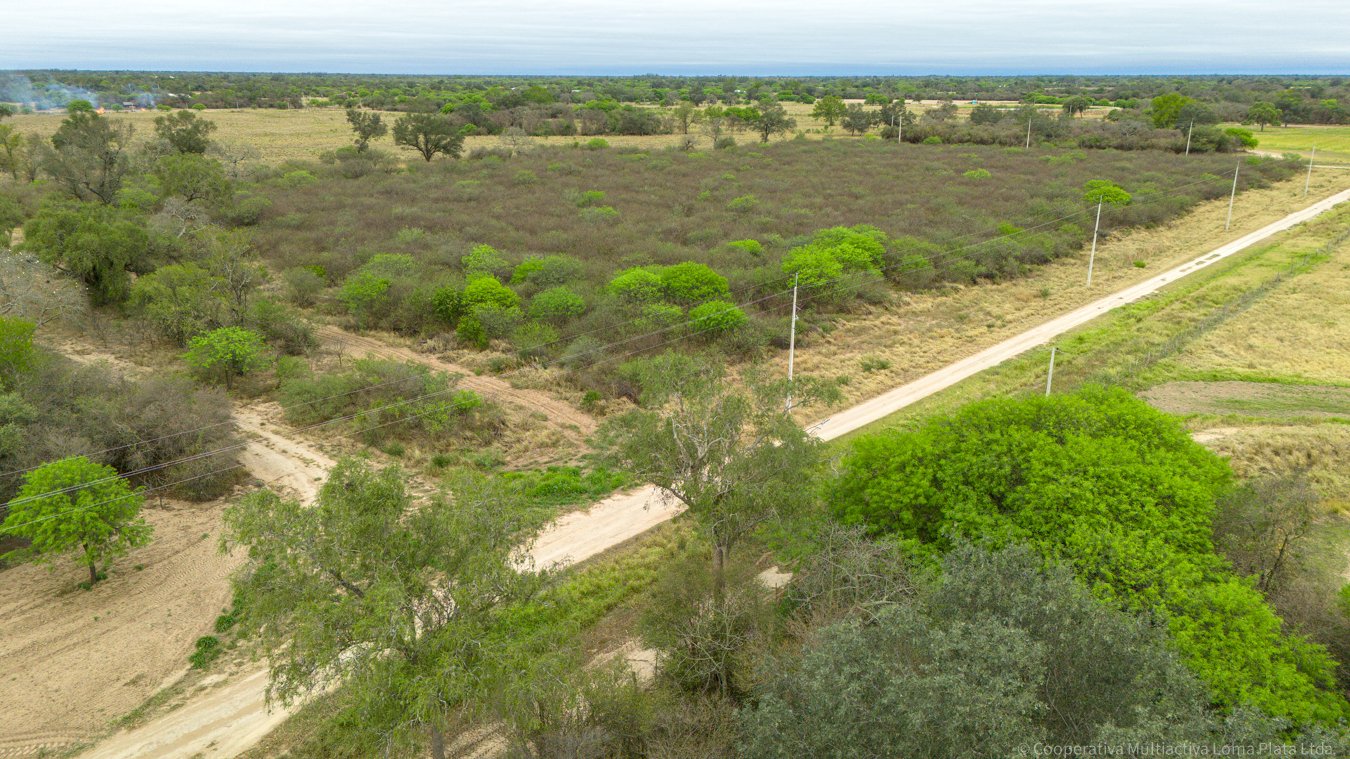 Lote en Filadelfia - 2