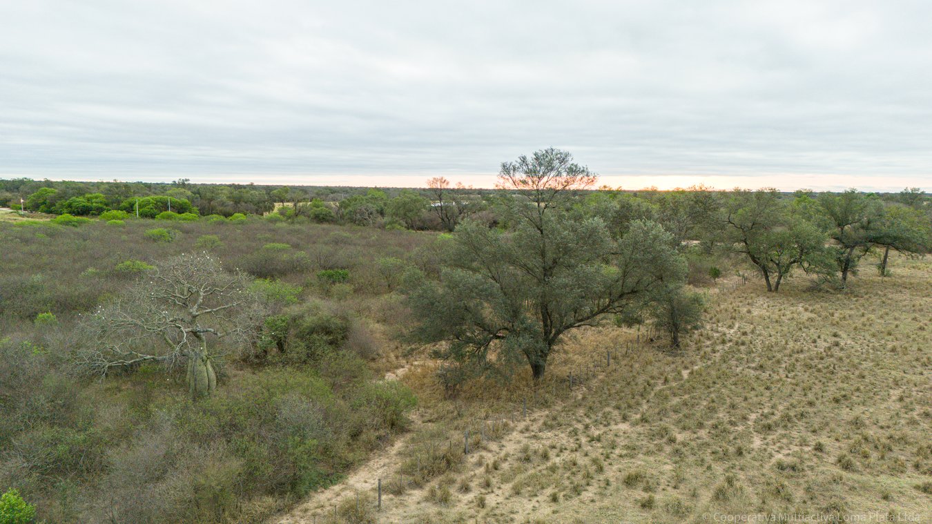 Lote en Filadelfia - 5