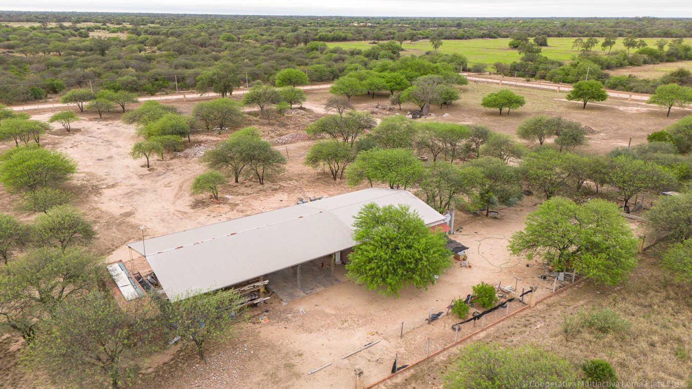 Lote en Filadelfia - 5