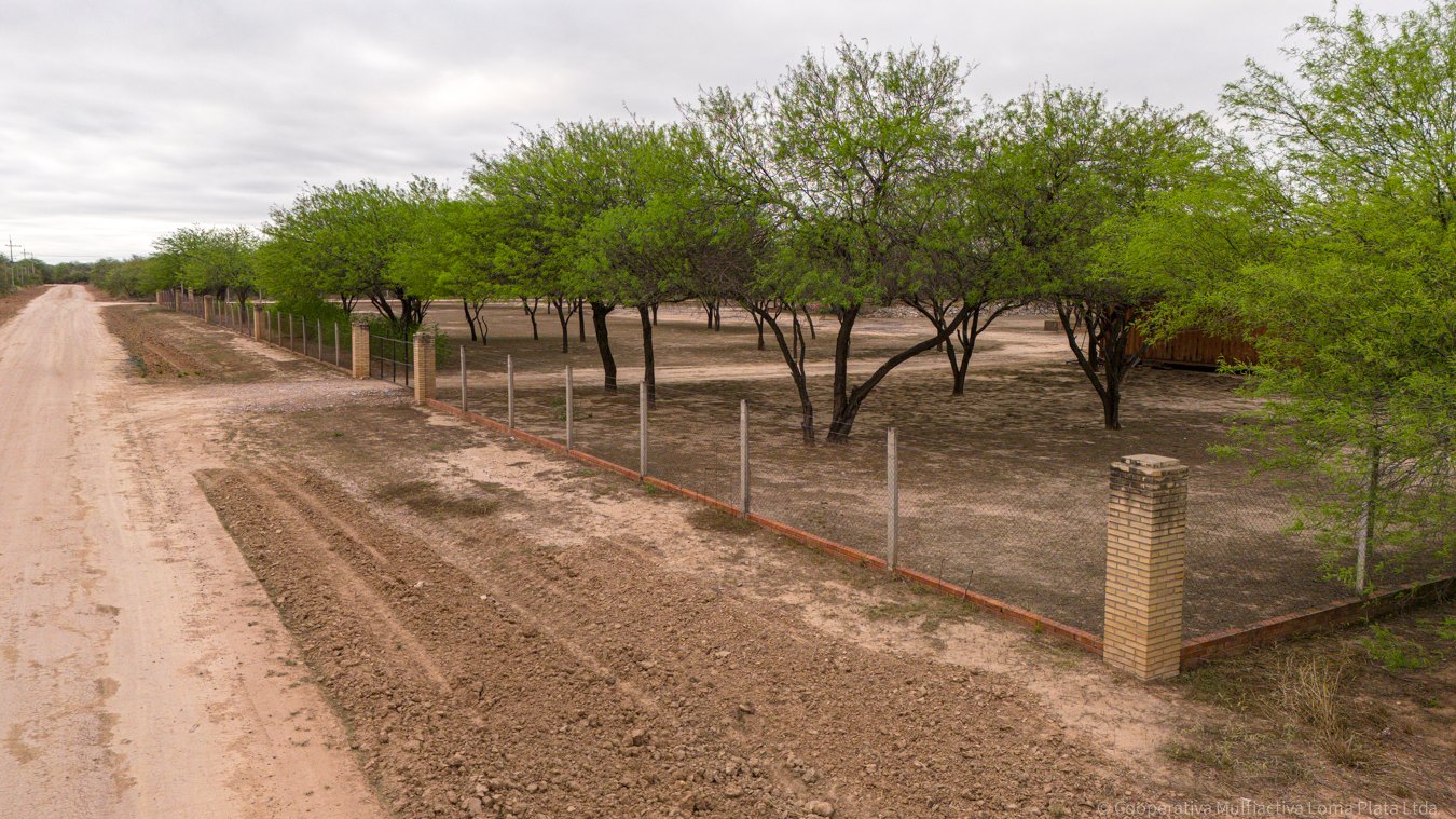 Lote en Filadelfia - 3